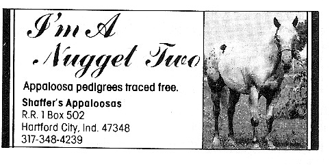 imanuggettwo