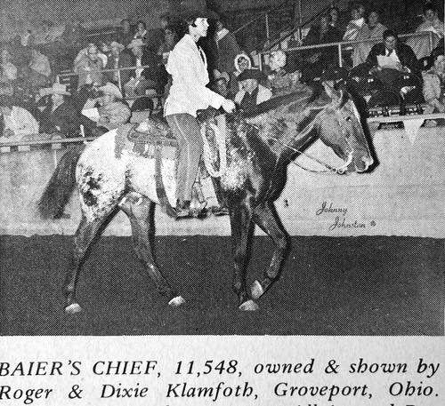 baier's chief