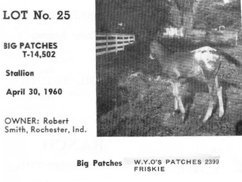 bigpatches