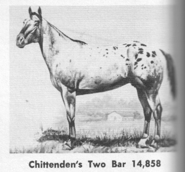chittendenstwobar