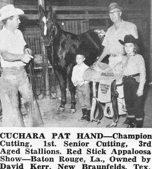 cuchara pat hand