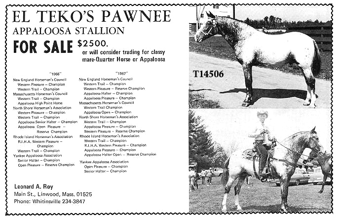 eltekospawnee