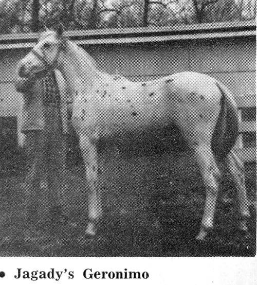 jagadys geronimo