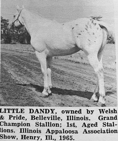 littledandy2