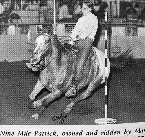 nine mile patrick