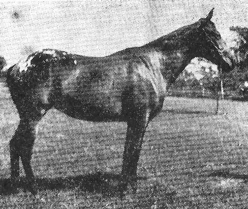 geaugajill17591