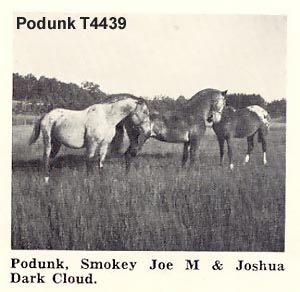 joshuadarkcloud