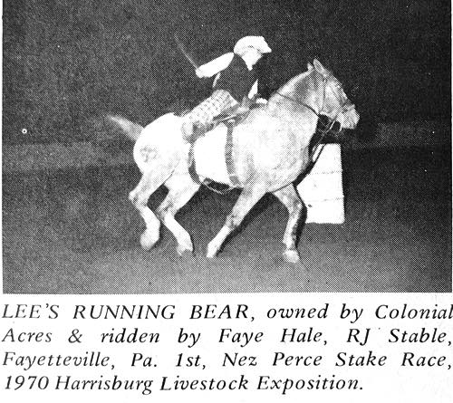 lees running bear