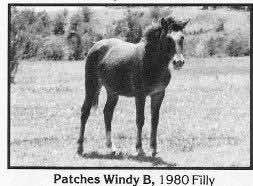 patcheswindyb