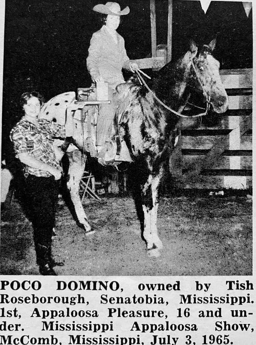 poco domino