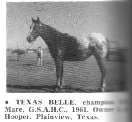 texasbelle17858