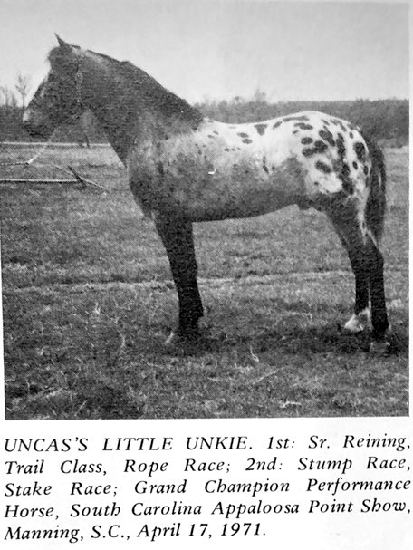 uncasslittleunkie