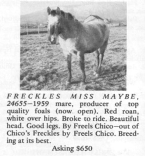 FrecklesMissMaybe
