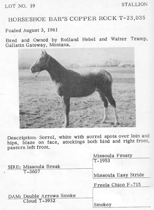 HorseshoeBarsCopperRock