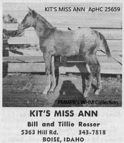 KitsMissAnn