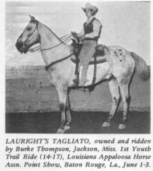 LaurightsTagliato