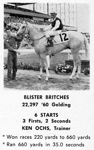 blisterbritches2