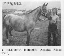 eldoesbirdie