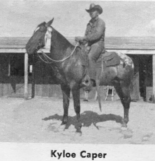 kyloe caper