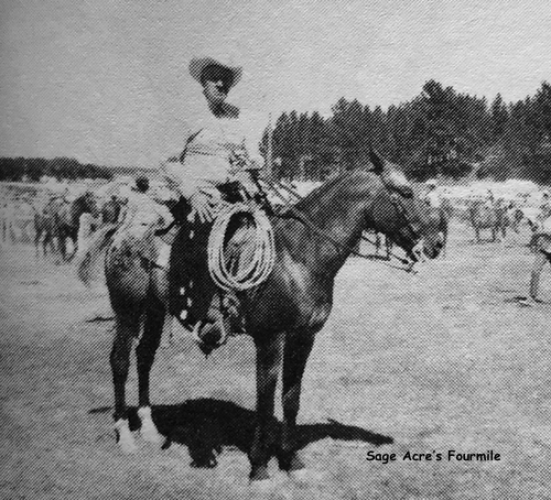 sage acres four mile