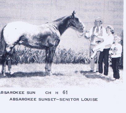 AbsarokeeSun