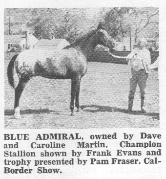 BlueAdmiral3