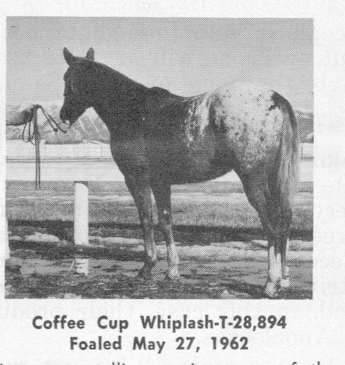 CoffeeCupWhiplash
