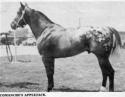 ComanchesAppleJack