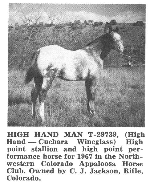 HighHandMan