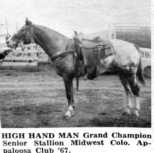 HighHandMan 2