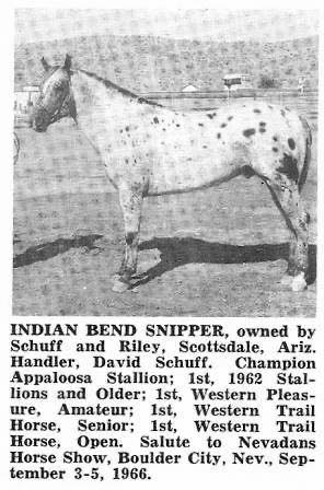 IndiansBendSnipper