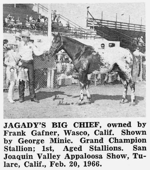 JagadysBigChief