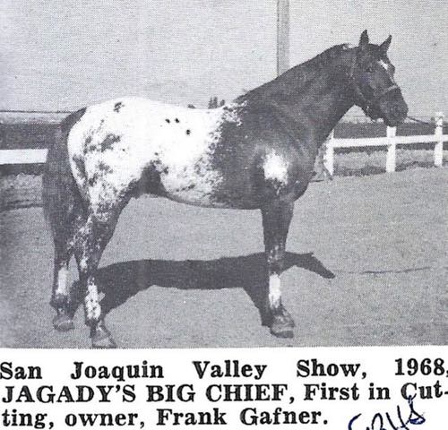 JagadysBigChief2