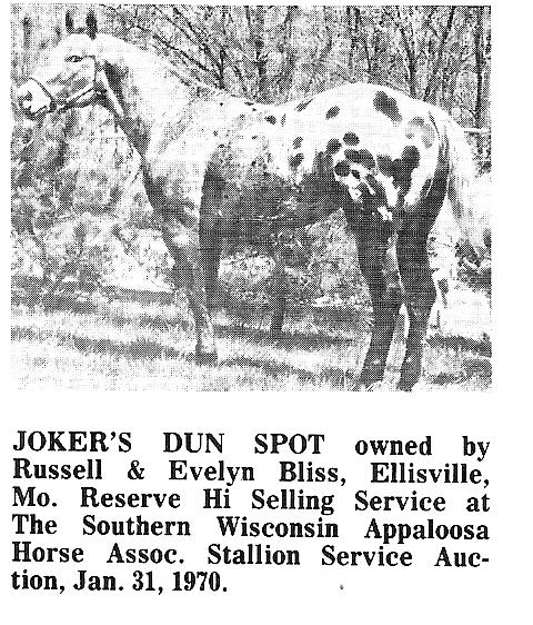 JokersDunSpot
