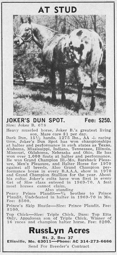 JokersDunSpot2