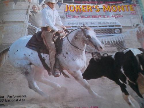 JokersMonte3