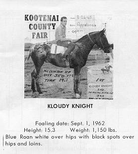 KloudyKnight
