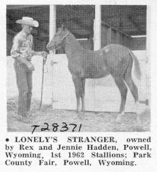 LonelysStranger