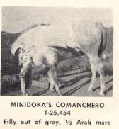 MinidokasComanchero2