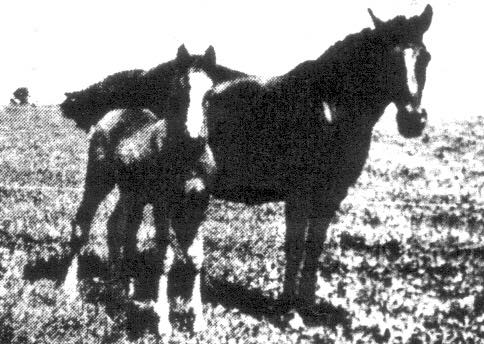 MoneyCreeksSunStar