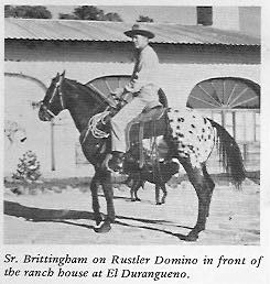 RustlerDomino
