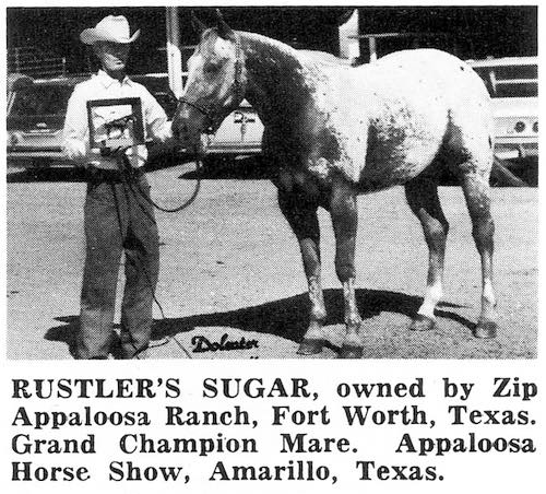 RustlerSugarTW2
