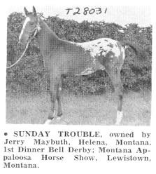 SundayTrouble