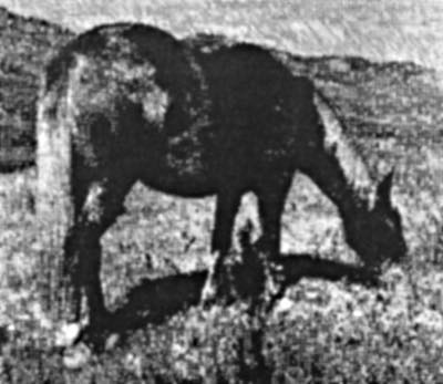 ValVerde