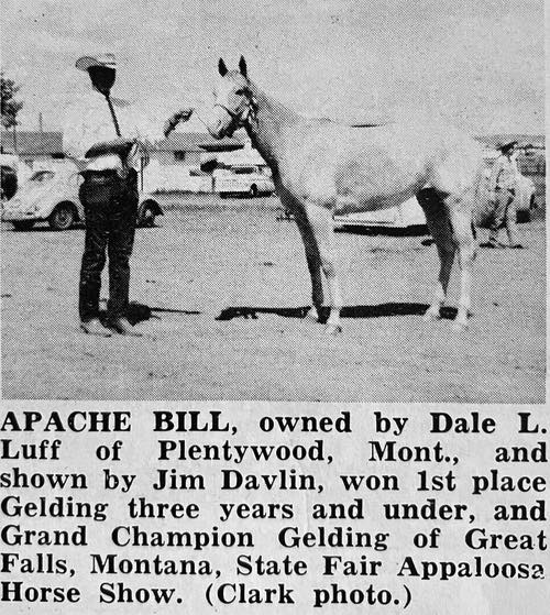 apache bill