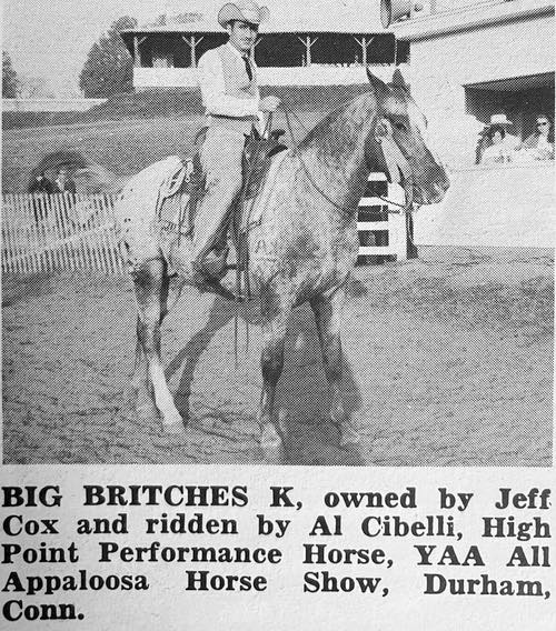 big britches k