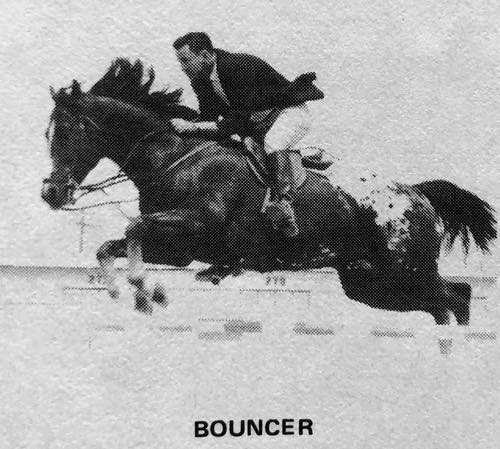 bouncer