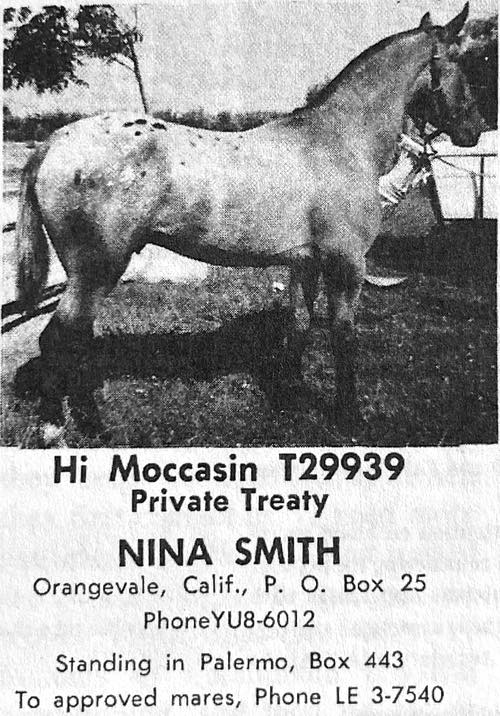 hi moccasin