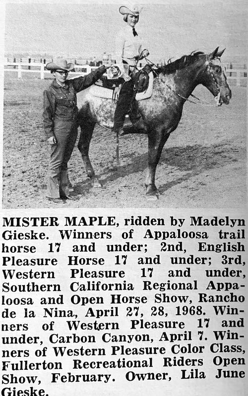 mister maple
