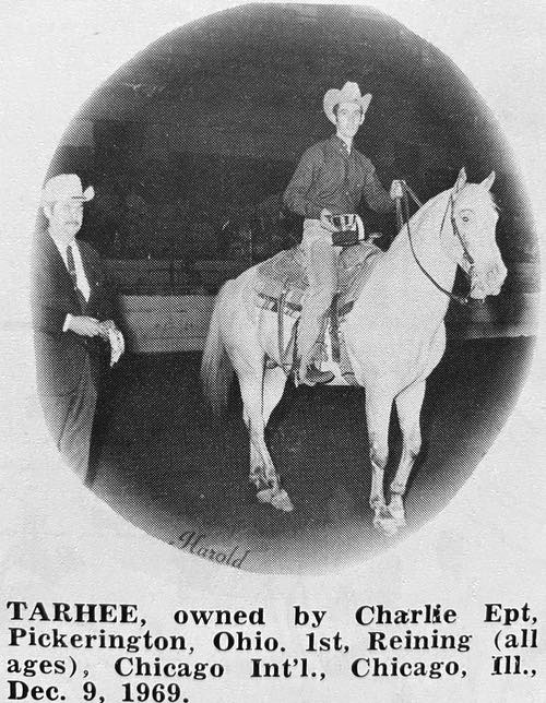 tarhee